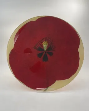 John Derian 11 Round Plates